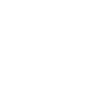 P_T_ACADEMI
